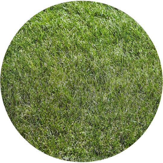 Find The Wilton Circle Cake Board Set Grass Pattern At Michaels